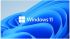 Microsoft Windows 11 Professional for Workstation 64 Bit
